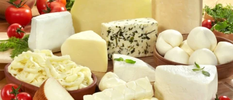 Süt Ürünleri