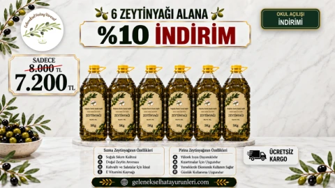 Okul Açılışı - 6 Sızma Zeytinyağı %10 İndirim
